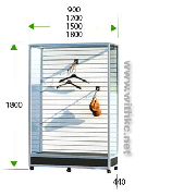 ��ǰ ������