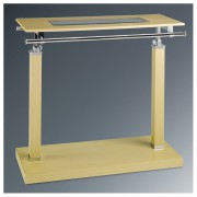 ��ǰ ������