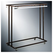 ��ǰ ������