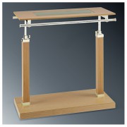 ��ǰ ������