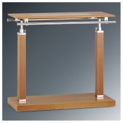 ��ǰ ������