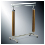 ��ǰ ������