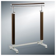 ��ǰ ������