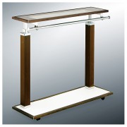 ��ǰ ������