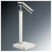 ��ǰ ������