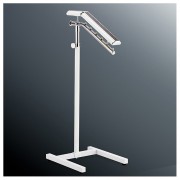 ��ǰ ������