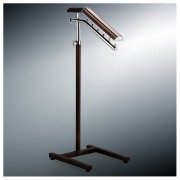 ��ǰ ������