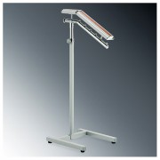 ��ǰ ������